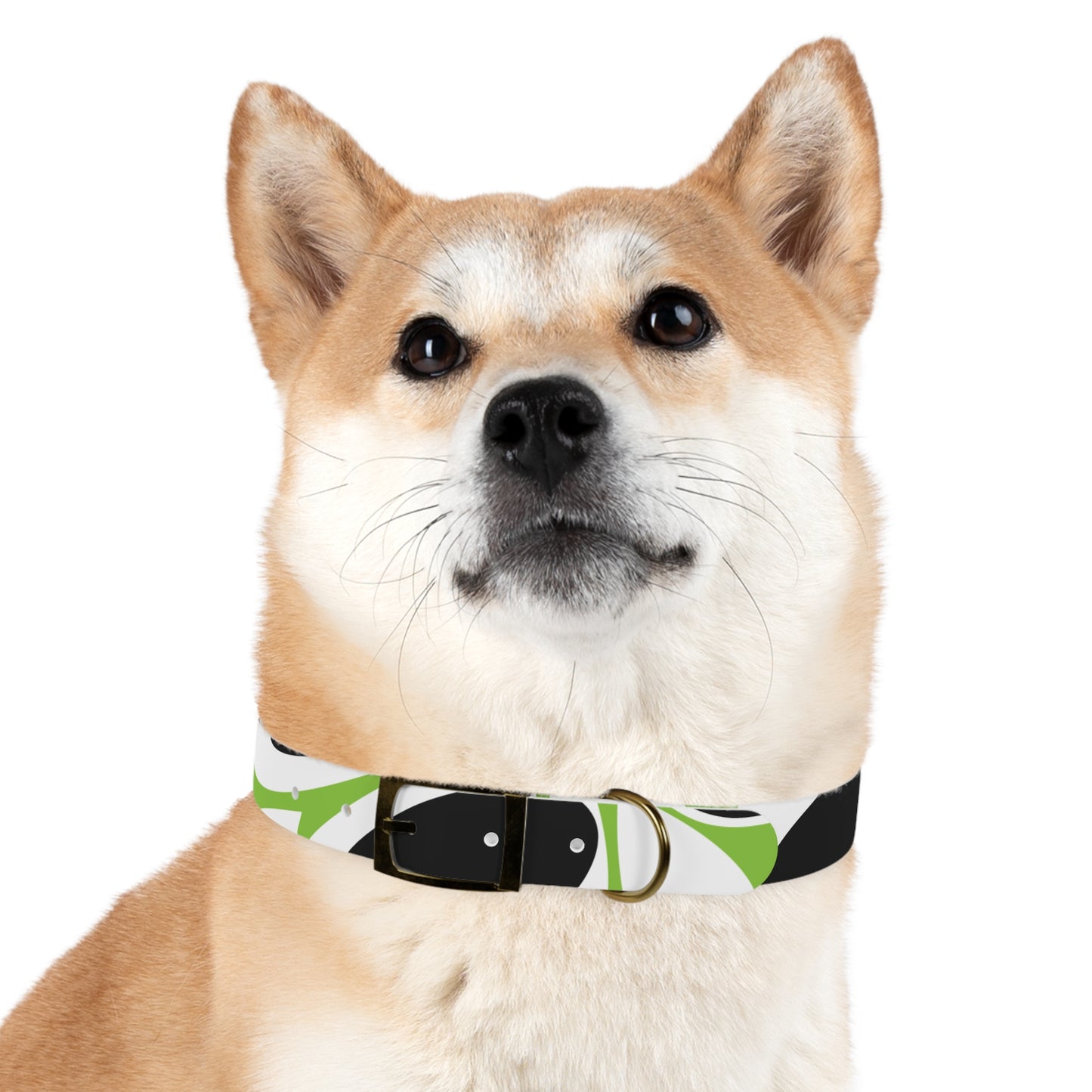 Lime Vivid Petal Edge Dog Collar