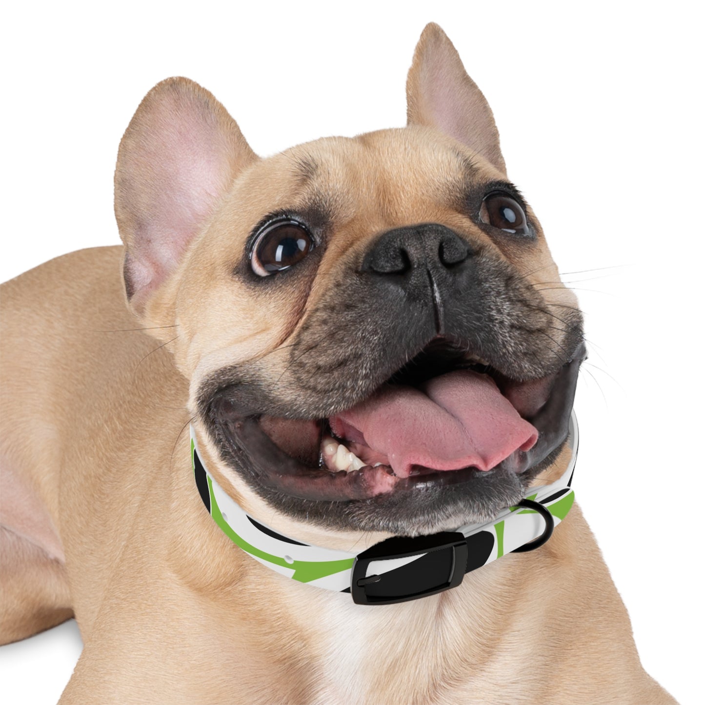 Lime Vivid Petal Edge Dog Collar