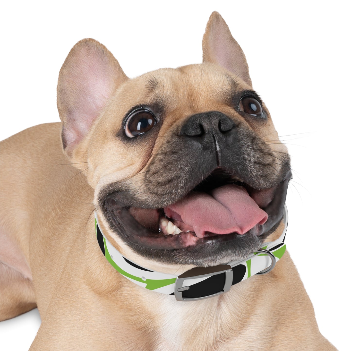 Lime Vivid Petal Edge Dog Collar