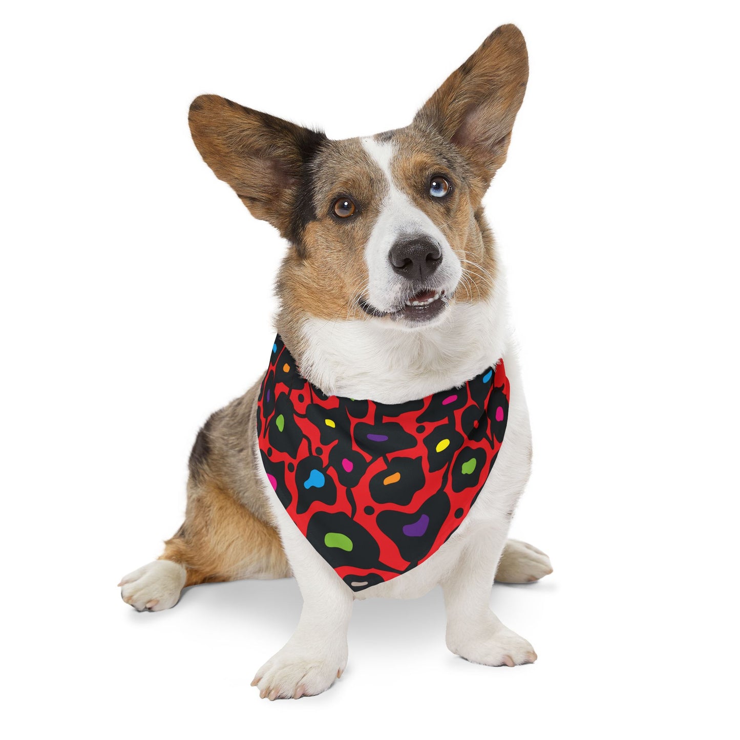Orange Bold Botanica Pet Bandana Collar