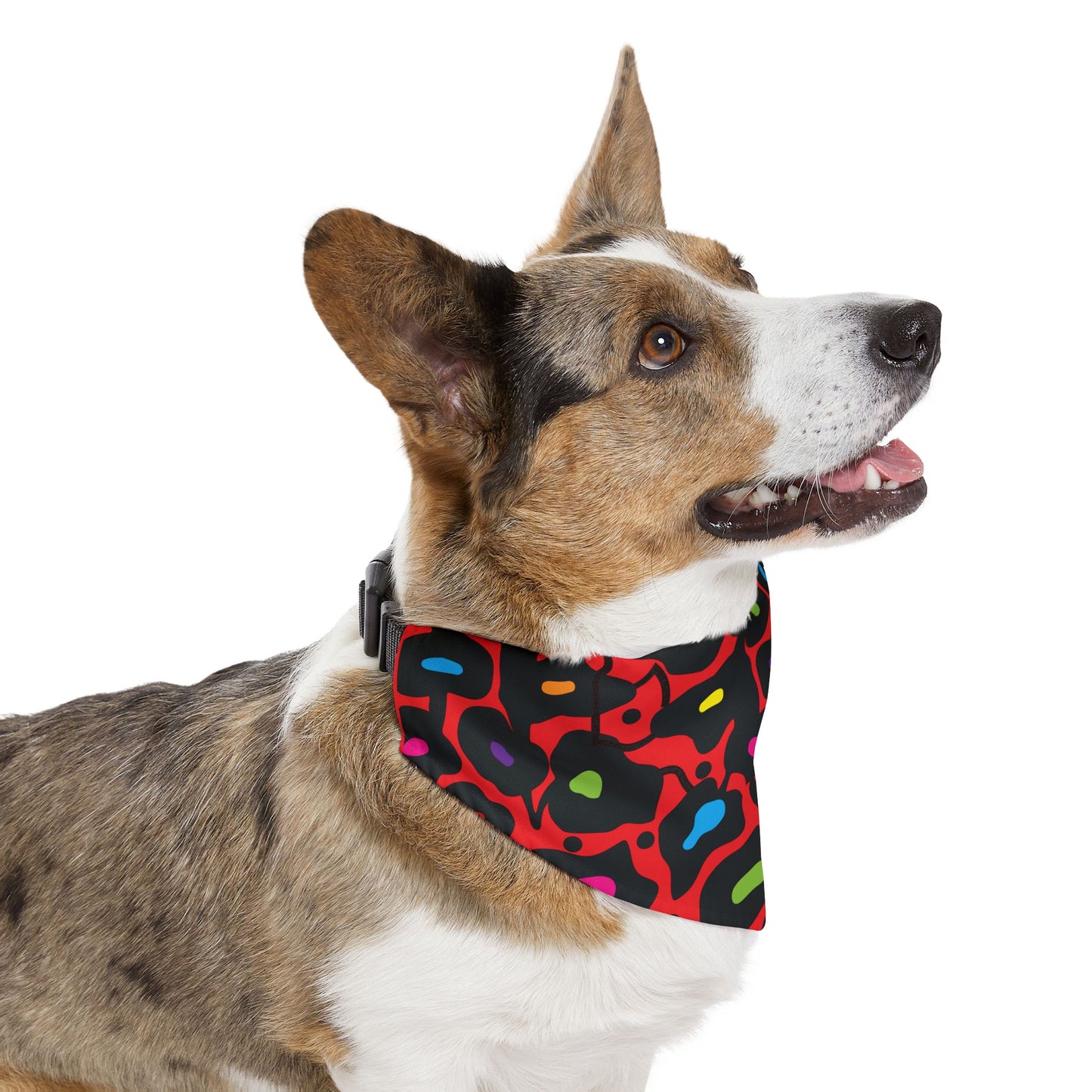 Orange Bold Botanica Pet Bandana Collar