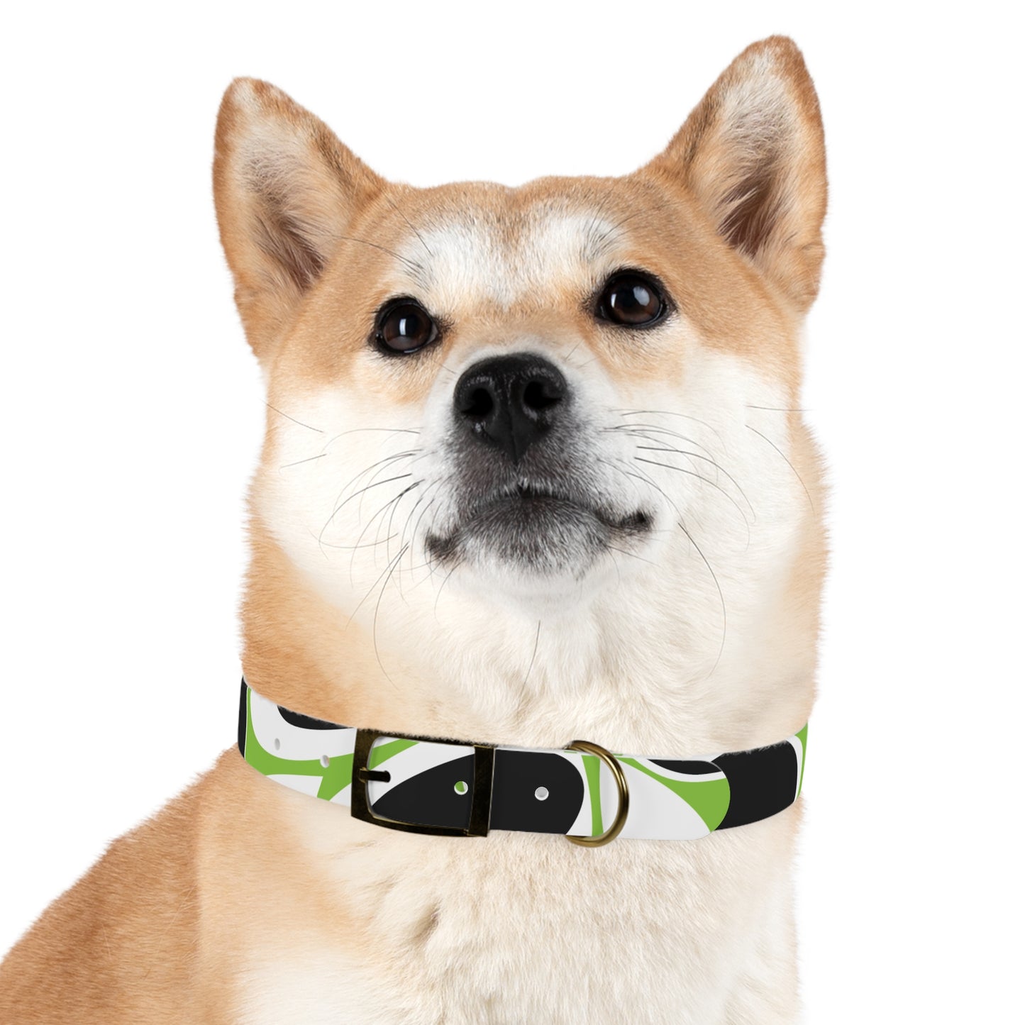 Lime Vivid Petal Edge Dog Collar