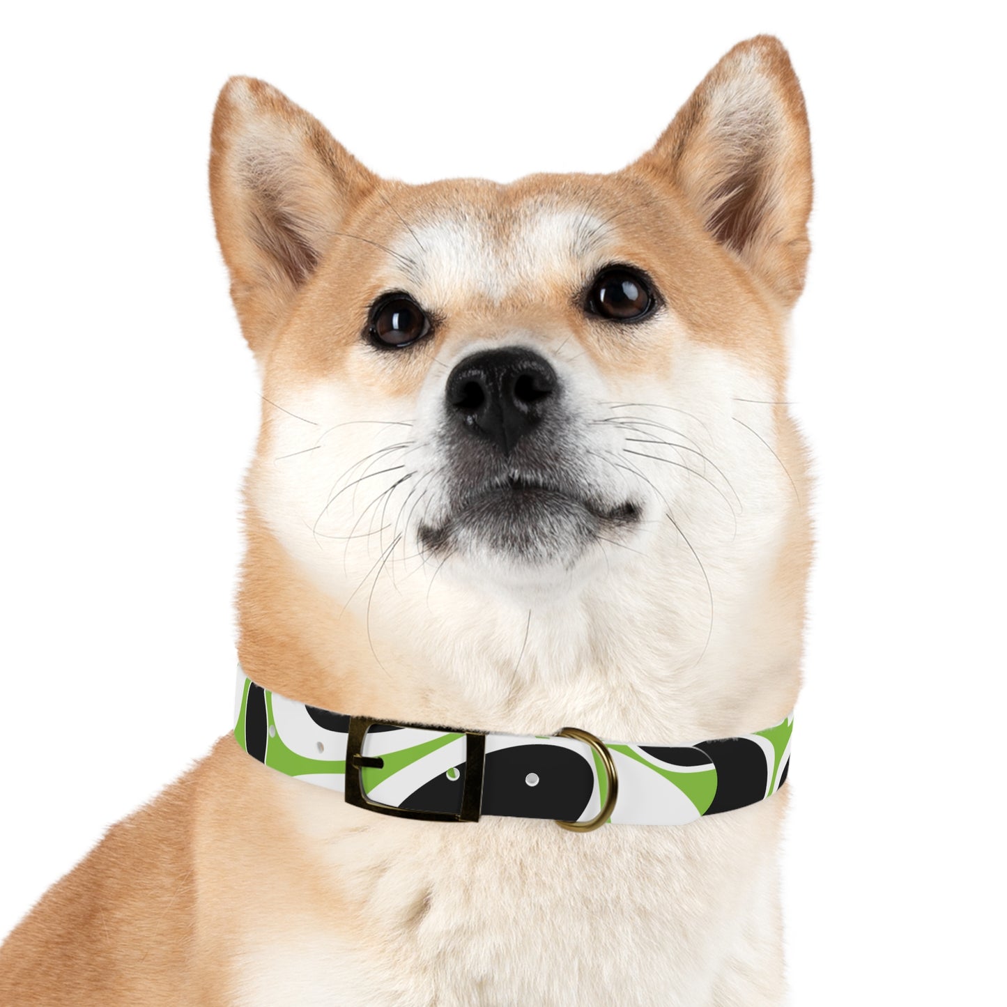 Lime Vivid Petal Edge Dog Collar