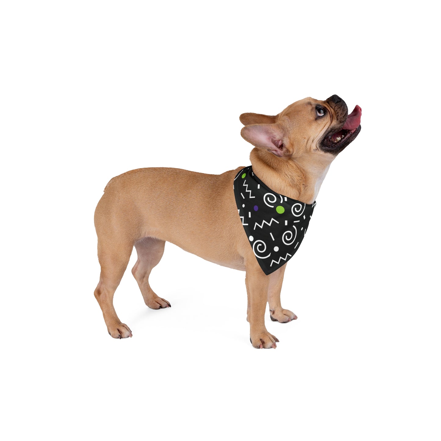 Color Scribbles Pet Bandana