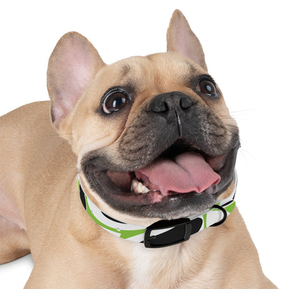 Lime Vivid Petal Edge Dog Collar