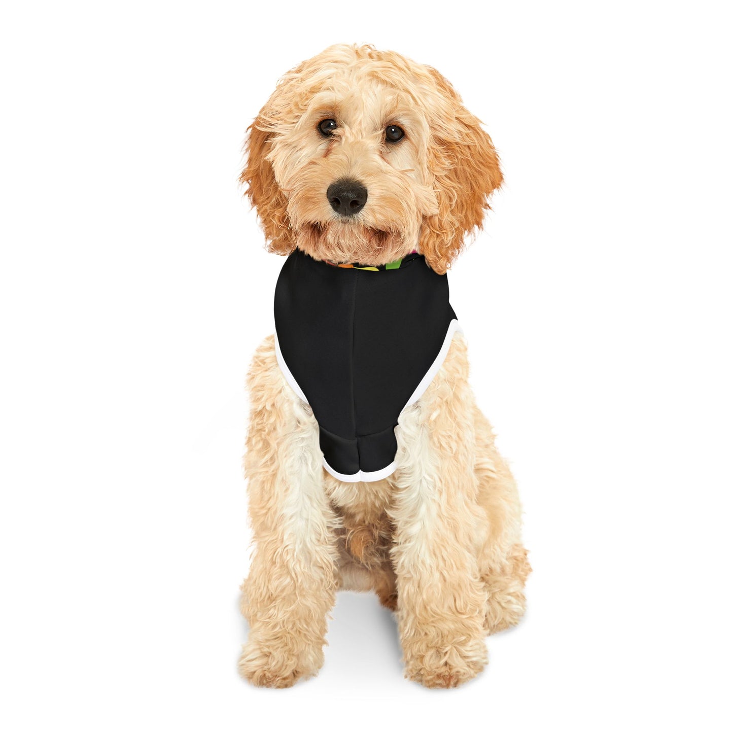 Stay Weird Pet Hoodie